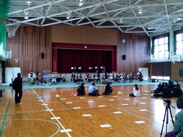 IMG_20201104_132027.jpg